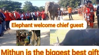 First time in Nagaland Elephant welcome chief guest at Niuland  destric