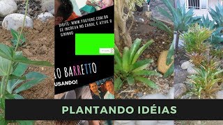 Plantando Idéias