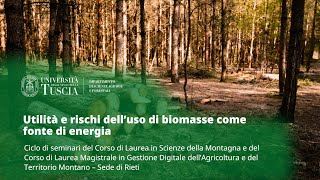 🖥️ WEBINAR | UTILITÀ E RISCHI DELL’USO DI BIOMASSE COME FONTE DI ENERGIA