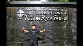 Berkeliling Menikmati indahnya Kebun Raya Bogor, Indonesia