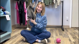 Estevan Humaine Society’s Pet of the Month: Kittens!