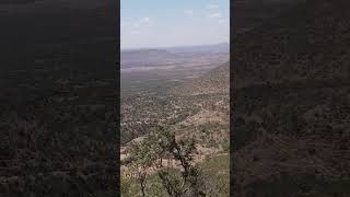 fertile hills somali group gemeston