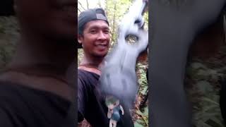 Berburu Babi Hutan di pedalama Kalimantan,