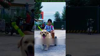 Japan most unique dog vehicle 🤯 Wood working with art handcraft ideas | skill-art #shorts