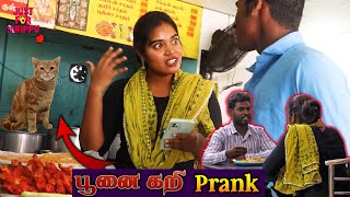 Hotel-இல் சாப்பிட வந்தவர்களை அலறவிட்ட Priya 😜🐈| Just For Sirippu