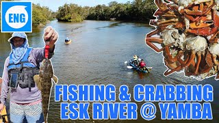 『YAMBA』✅ KAYAK CRABBING ✅ FISHING ✅ CATCH & COOK