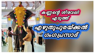 എഴുത്തുപുരയ്ക്കൽ ഗംഗപ്രസാദ് ശീവേലി എടുത്ത് | ഗംഗപ്രസാദ് തിരുവമ്പാടിയിൽ | Thiruvambady | HARISH G