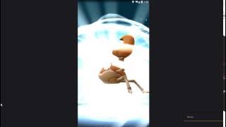 Pokemon GO - KRABBY EVOLUTION