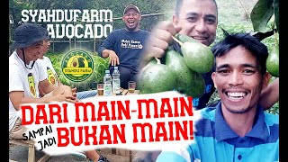 Dari 5 Batang 🌳, Syahdu Farm Sekarang Punya 800an Batang Pohon Alpukat 🥑