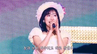 【 한글자막 】 AKB48 - 아보가도가 아니라 아보카도라니까...! (アボガドじゃね～し アボカドだし…!)