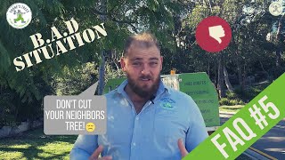 CAN I CUT MY NEIGHBOURS TREE? SHANE'S TREES FAQ#5