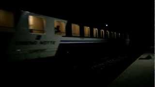 Un Caimano per l'Intercity Night 784