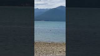 Olympic Mountains and Hood Canal from Scenic Beach State Park Washington