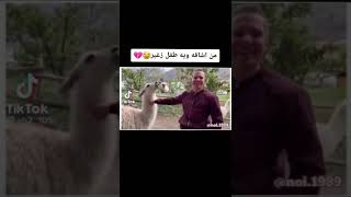 من تشاقه وي طفل زغير