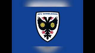 The Journey of AFC Wimbledon