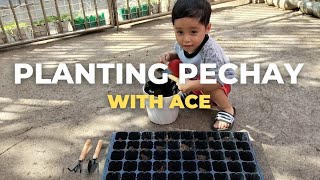 Planting Pechay with Ace