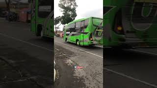 Telolet Sedehana Mulya  #basuri #busmania #buspariwisata #trending #shots