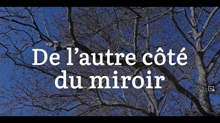 De l'autre cote du miroir