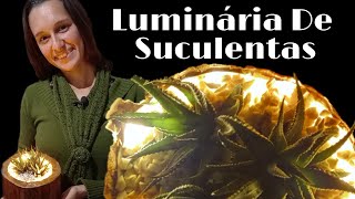 Luminária de Suculentas