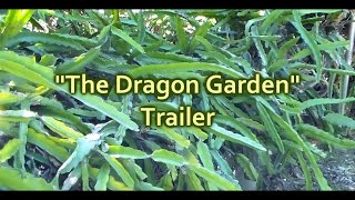 Trailer: The Dragon Garden