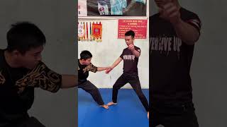 Tư Vệ Nữ #shorts #kungfu #vothuat