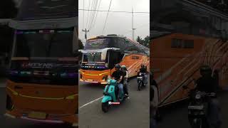 Telolet Basuri Cortas 9 Nafit trans Onty Nael #telolet #busmaniacommunity #basuri #busmania