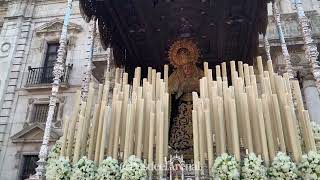 4K | Salida de la Virgen de la Angustia de Los Estudiantes | 2019