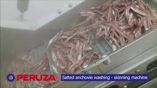 Anchovie washing - skinning machine