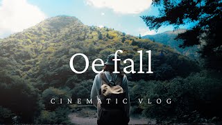 Trip Or fall | cinematic vlog |  Japan | 大江滝 | 奈良 | shot on a7S3 ＆ a7R4 | S-cinetone