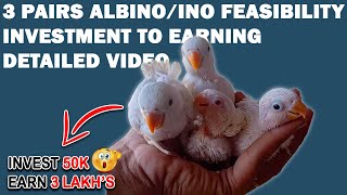 INVESTMENT 50K EARNING 3LAKH 100% TRUE TALK | ALBINO/INO 3 PAIR'S FEASIBILITY REPORT | AA BIRDS INFO