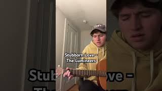 Stubborn Love - The Lumineers (Acoustic Cover)