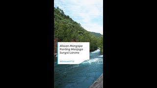 Alasan Mengapa Penting Menjaga Sungai Larona