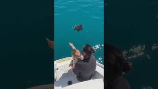 Fish Feeding from our floating home. These little memories are what this life is all about ⛵️🫶🏼