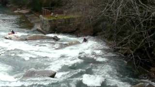 Dave/Justin - Middle Fork River (Tygart), WV - 1st Rapid - 4.4 ft