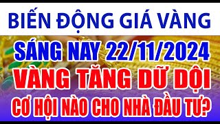 Giá vàng hôm nay 22/11/2024: vàng tăng dữ dội, cơ hội nào cho nhà đầu tư?