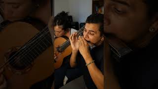 Soledad #piazzolla #tango #harmonica #guitar #live