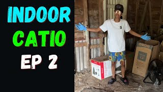 Indoor Catio Fixer Upper Ep 2