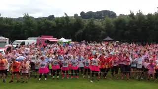 Manorlands (Sue Ryder) Paint Rush 2016 - Marley - Keighley