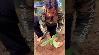 reshma Anna rajan |malayalam actress|world environment day |may 5th #shorts