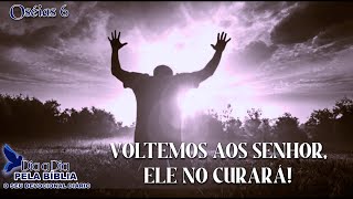 VOLTEMOS AO SENHOR ELE NOS CURARÁ!