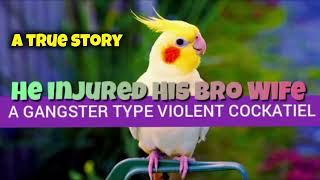 Gangster Violent Type Lutino Cockatiel | Violent Bird Injured His Borther's Wife | @FLAME-U Melody