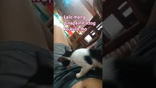 Lalo mo pinapainit itlog,Ang kulit mo #pets