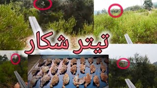 video 6 Raining Sunday choa saidan shah partridges hunting in paksitan bhora teetar