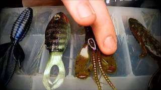 Bait Wars: Creature Baits