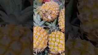 How to Grow Pineapple 😋  #shorts