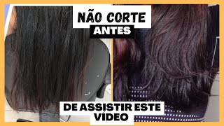 O PRÉ SHAMPOO QUE SALVOU MINHAS PONTAS✨