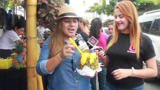 Te dejamos un resumen del reciente #XVI feria de piña