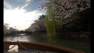 Kyoto Sakura 2022 Okazaki Jikkokubune Boat Ride   Keage Incline