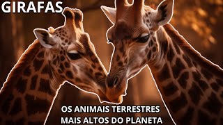 Girafas - os Animais Terrestres mais Altos do Planeta!