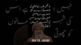 IBN UL ARABI | Quotes Urdu Hindi